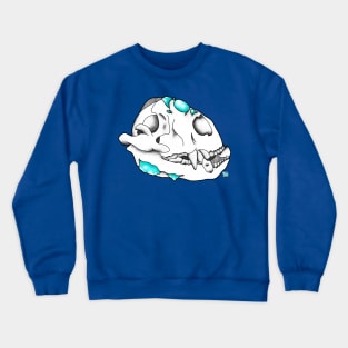 Raccoon x Turquoise Crewneck Sweatshirt